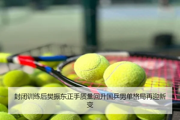 封闭训练后樊振东正手质量回升国乒男单格局再迎新变